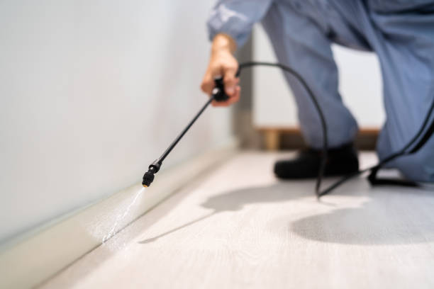 Licensed Pest Control service in Hillcrest, IL - Show Me Pest Control