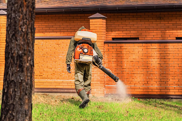 Bed Bug Clearance Verification and Documentation in Hillcrest
